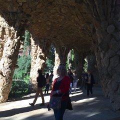 IMG 095